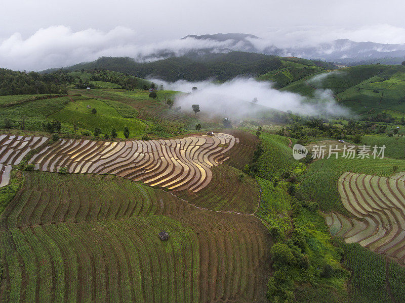 泰国清迈Pa Pong Piang山山谷乡村地区的水稻梯田。